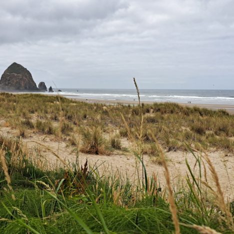 The Ultimate Itinerary for an Oregon Coast Roadtrip